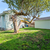 819 NE 59th Street, Seattle, WA 98105