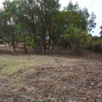 999 Moonlight Drive, Sequim, WA 98382