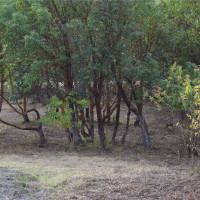 999 Moonlight Drive, Sequim, WA 98382