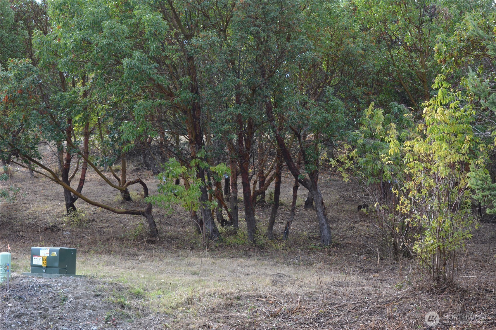 999 Moonlight Drive, Sequim, WA 98382