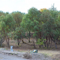 999 Moonlight Drive, Sequim, WA 98382