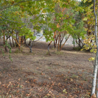 999 Moonlight Drive, Sequim, WA 98382