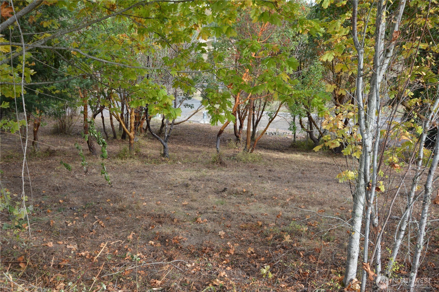 999 Moonlight Drive, Sequim, WA 98382