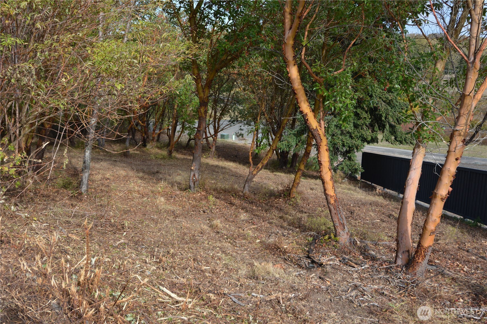 999 Moonlight Drive, Sequim, WA 98382