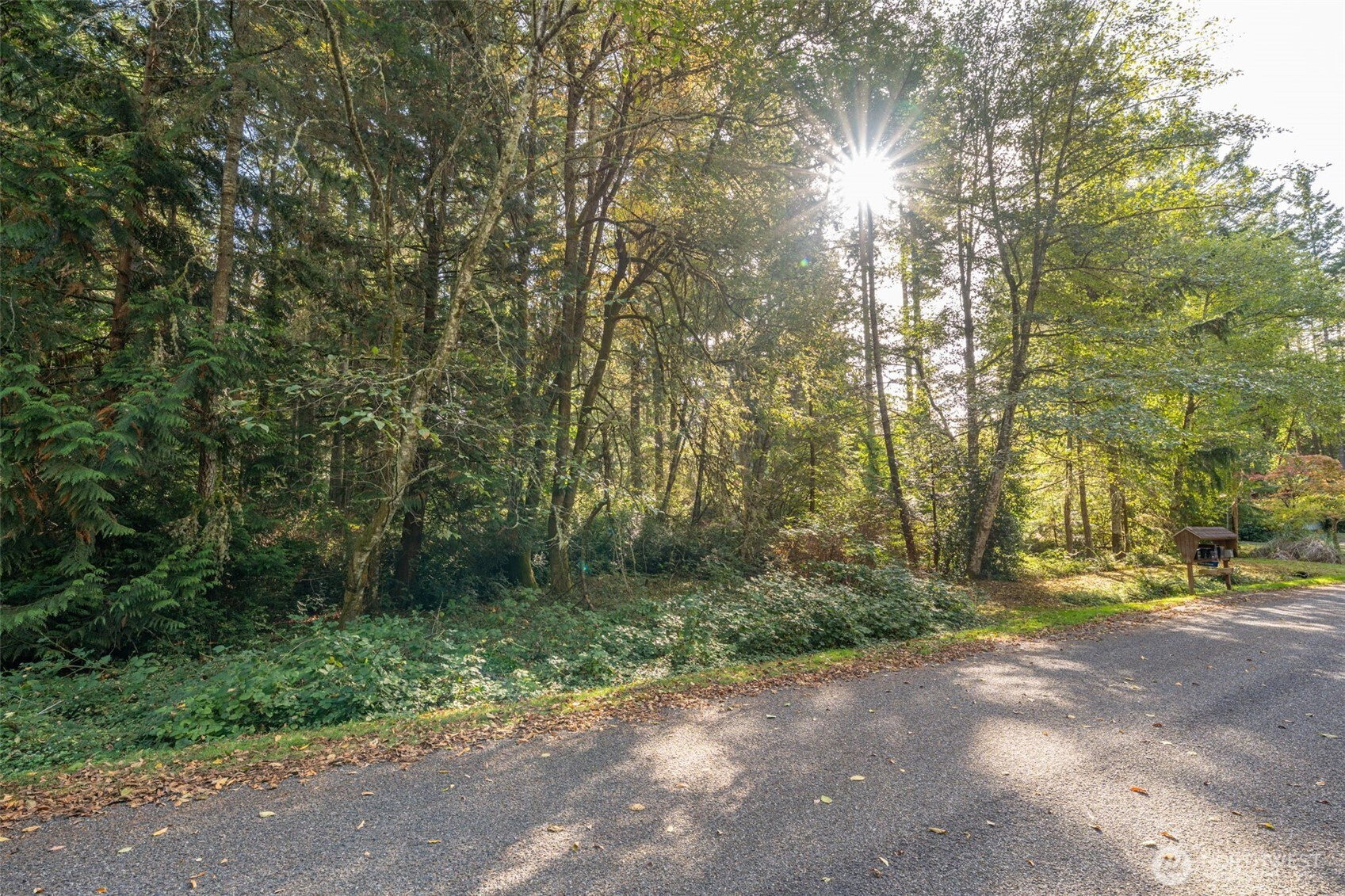 10611 Vantage Drive, Anderson Island, WA 98303