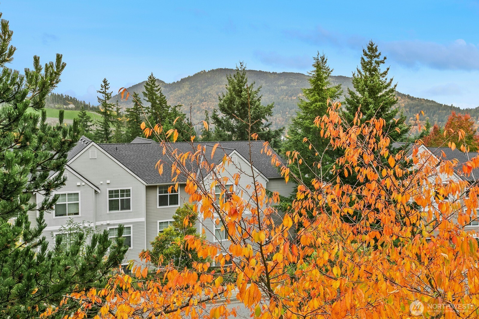 23420 SE Black Nugget Road, Issaquah, WA 98029