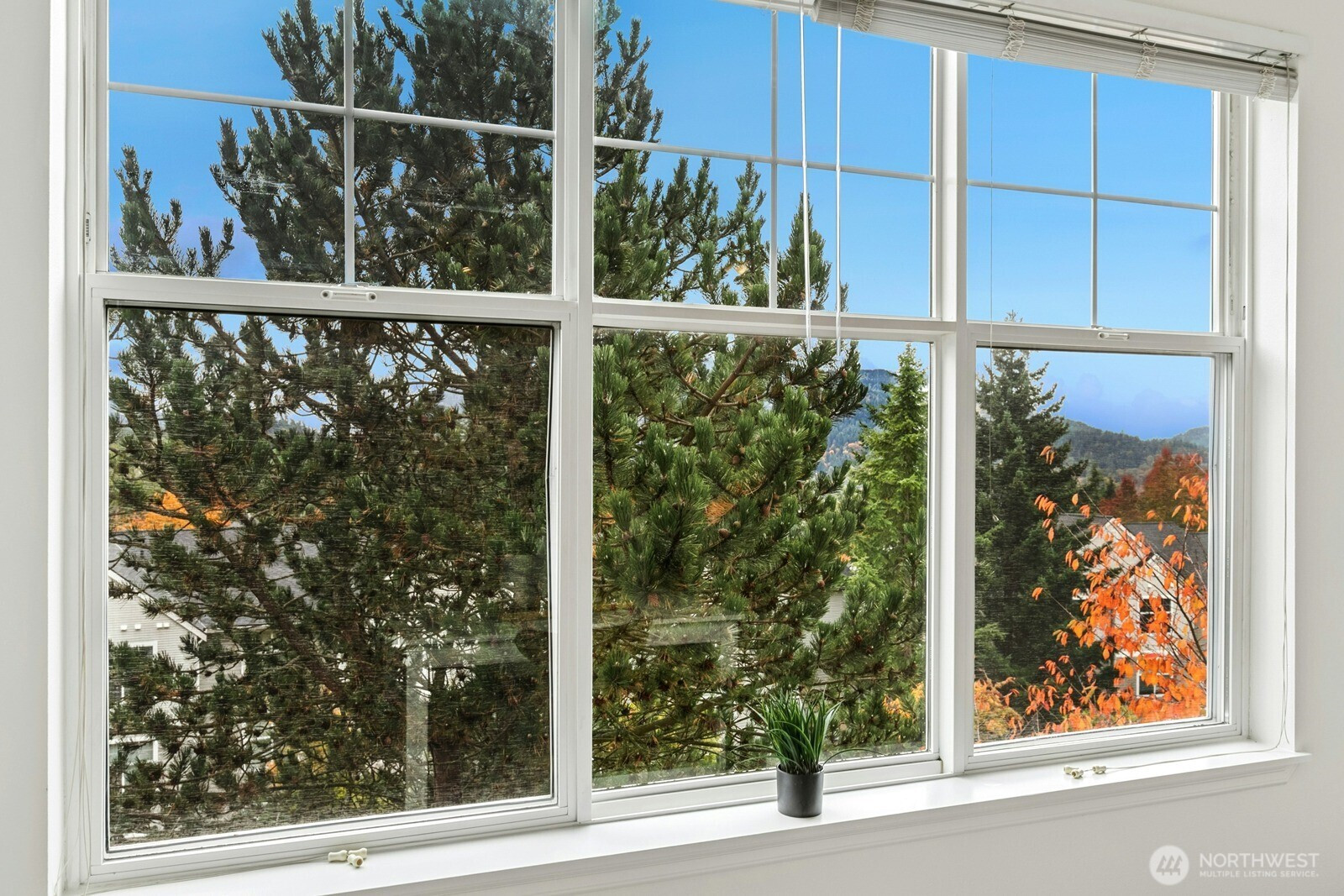 23420 SE Black Nugget Road, Issaquah, WA 98029