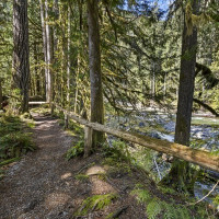 10500 Mt Baker Hwy, Deming, WA 98244