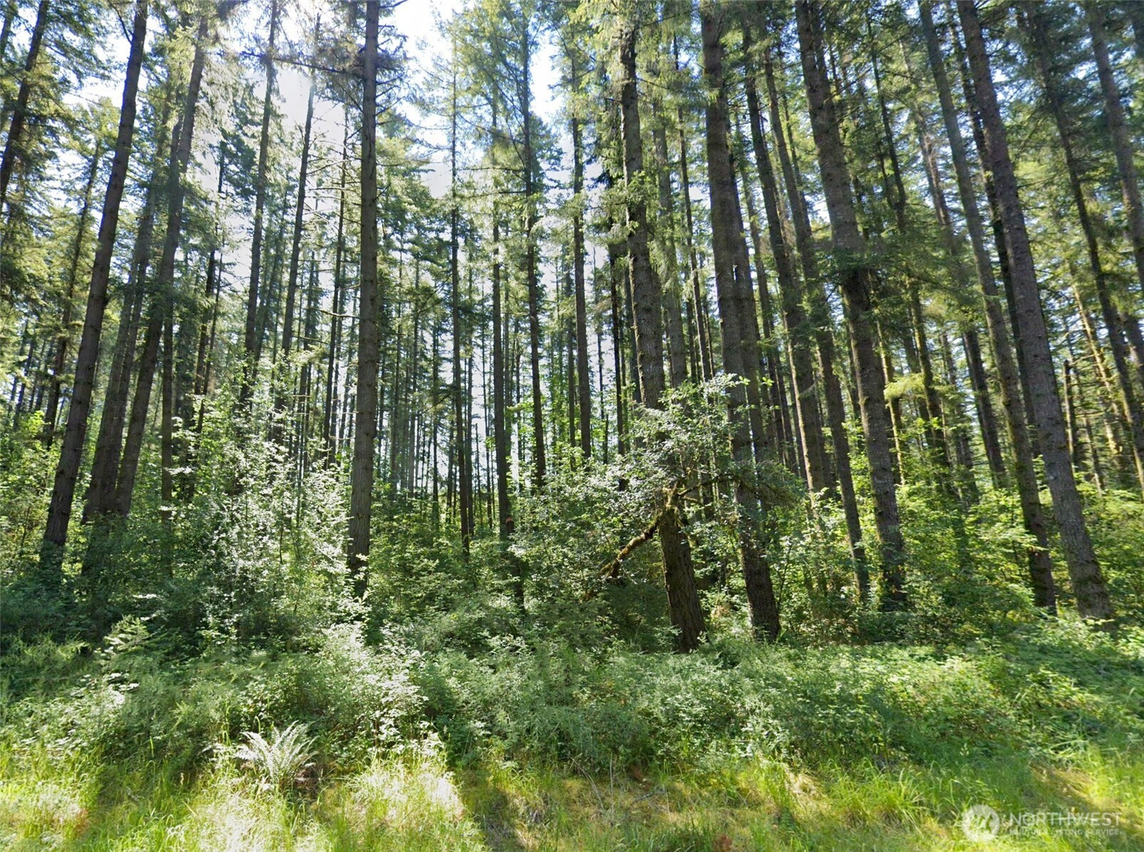 0 Summers Road, Centralia, WA 98531