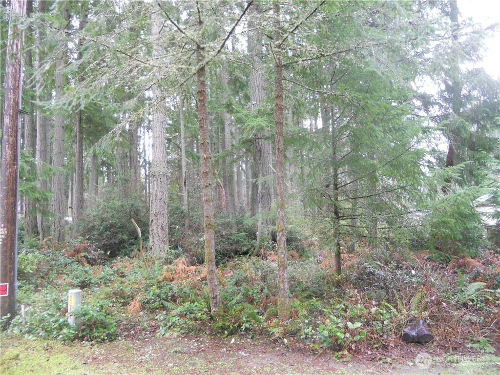 10315 107th Avenue Ct, Anderson Island, WA 98303