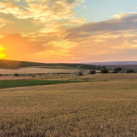 16 Bergevin Springs Place, Walla Walla, WA 99362