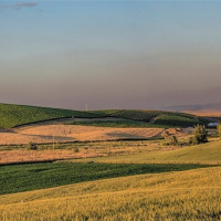 16 Bergevin Springs Place, Walla Walla, WA 99362