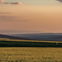 16 Bergevin Springs Place, Walla Walla, WA 99362