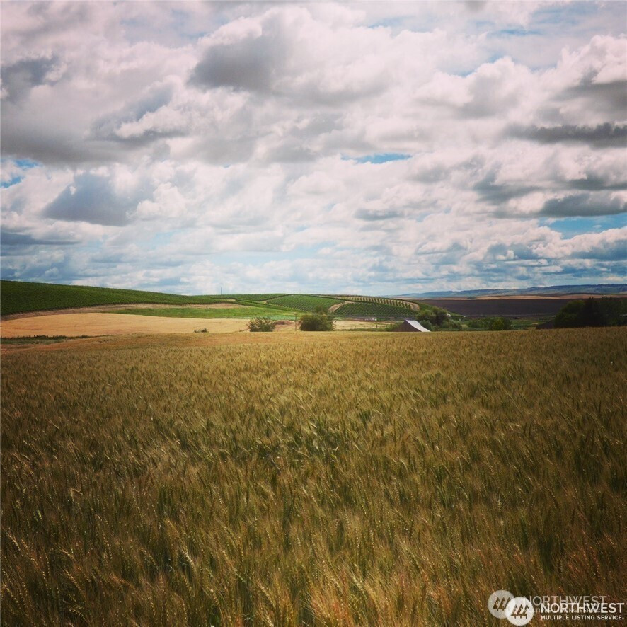 16 Bergevin Springs Place, Walla Walla, WA 99362