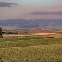 16 Bergevin Springs Place, Walla Walla, WA 99362