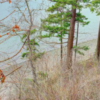 10405 Samish Island Road, Bow, WA 98232