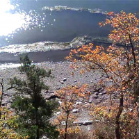 10405 Samish Island Road, Bow, WA 98232