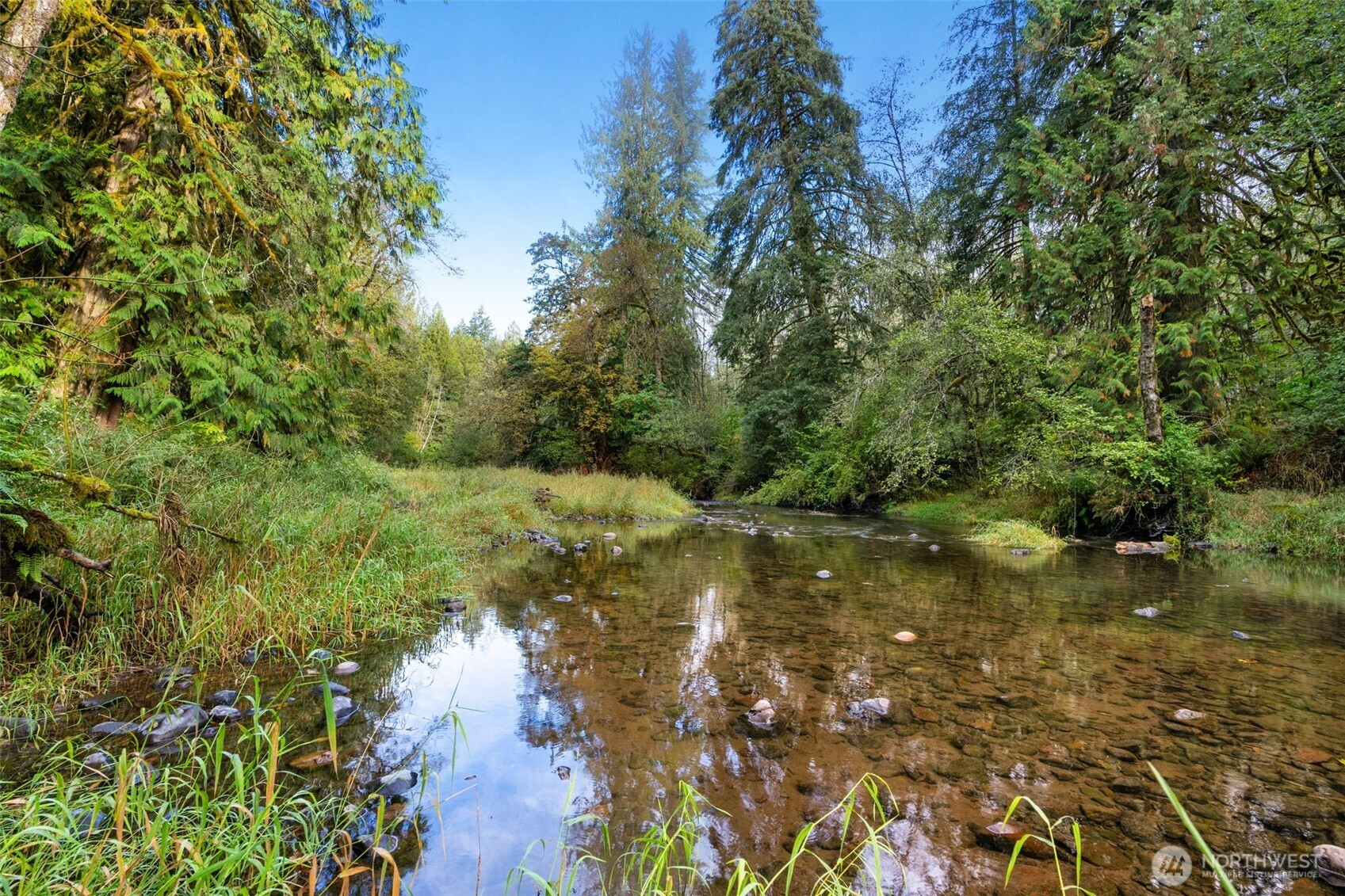0 NE Cedar Creek Road, Woodland, WA 98674