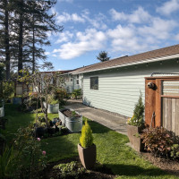 292 NE Pearsall Street, Ocean Shores, WA 98569