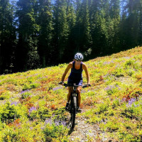 11 Alpental Street, Snoqualmie Pass, WA 98068