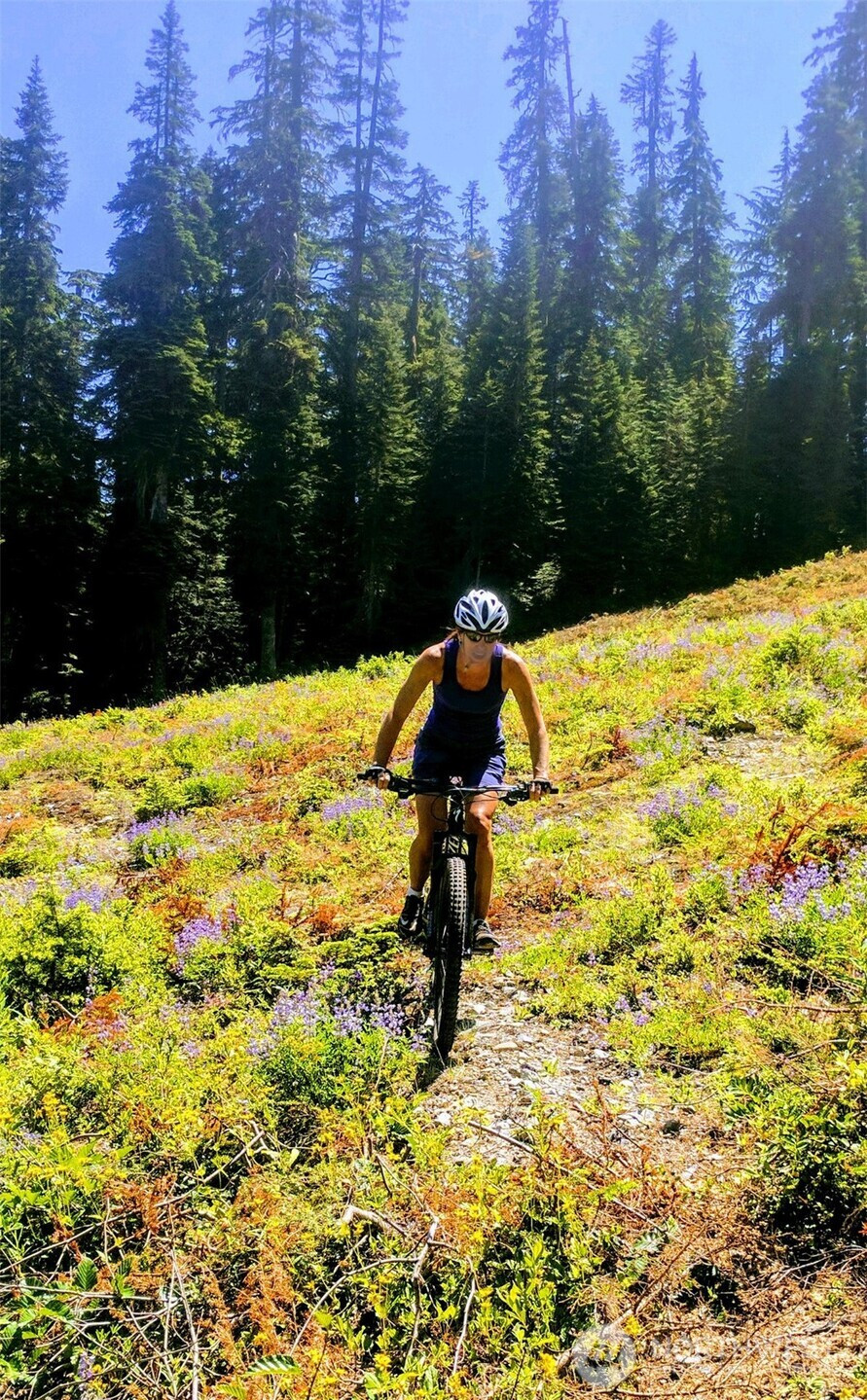 11 Alpental Street, Snoqualmie Pass, WA 98068