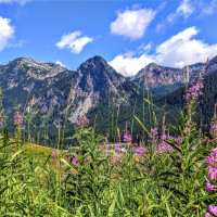 11 Alpental Street, Snoqualmie Pass, WA 98068