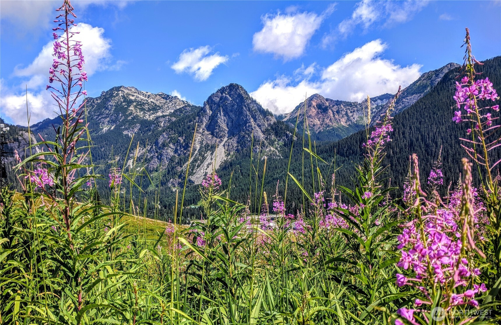 11 Alpental Street, Snoqualmie Pass, WA 98068