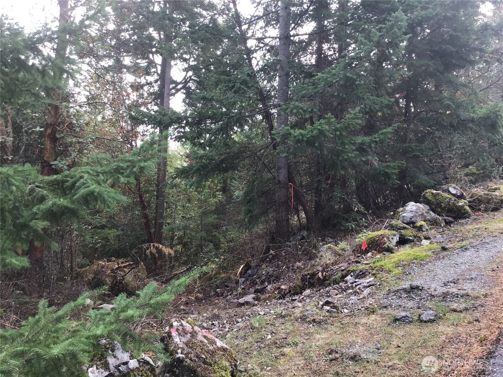 11939 New Morning Drive, Anacortes, WA 98221