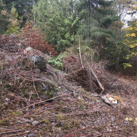 11939 New Morning Drive, Anacortes, WA 98221