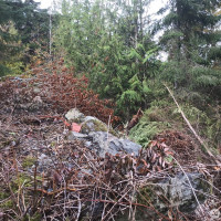 11939 New Morning Drive, Anacortes, WA 98221