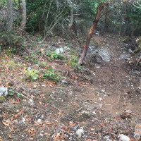 11939 New Morning Drive, Anacortes, WA 98221