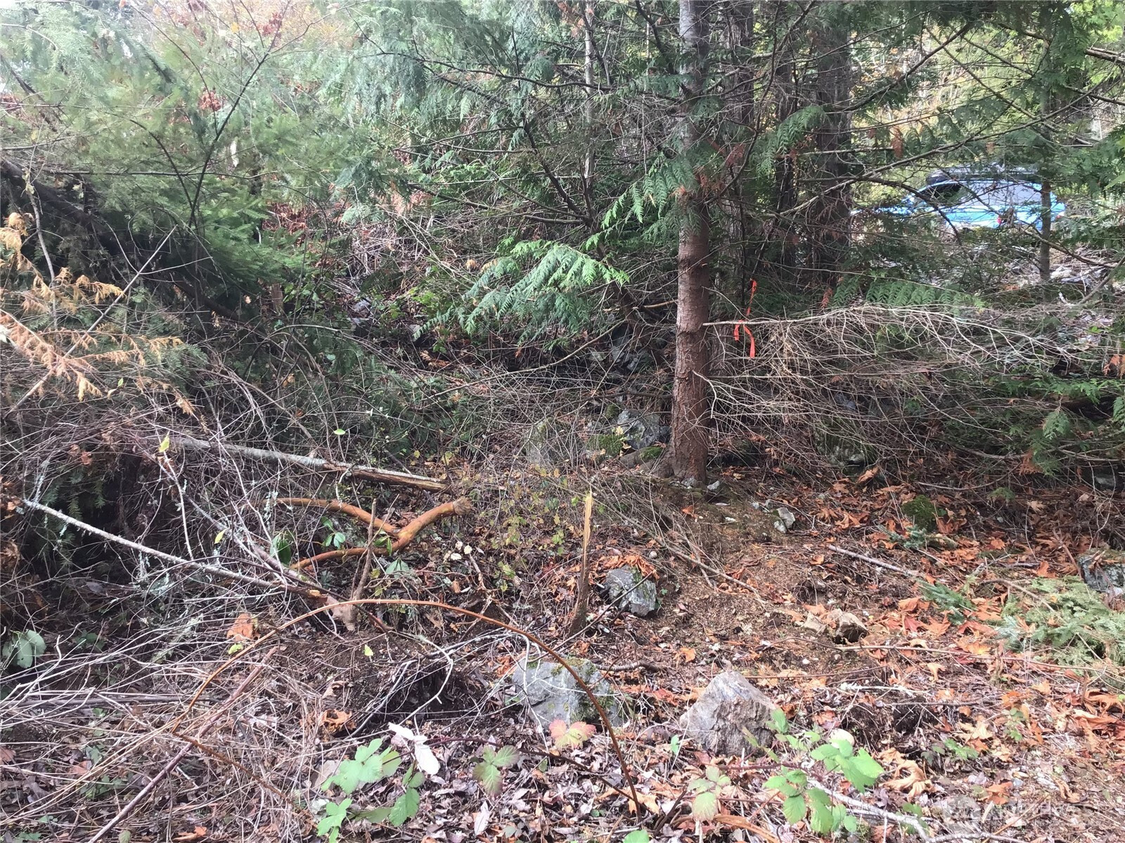 11939 New Morning Drive, Anacortes, WA 98221