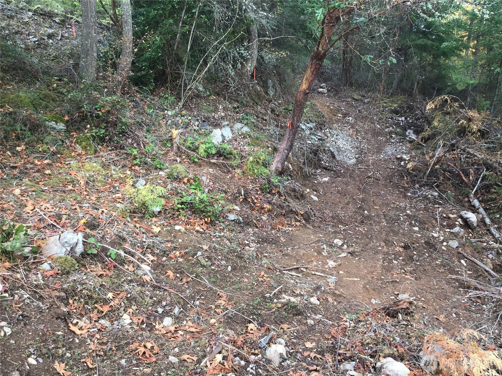 11939 New Morning Drive, Anacortes, WA 98221