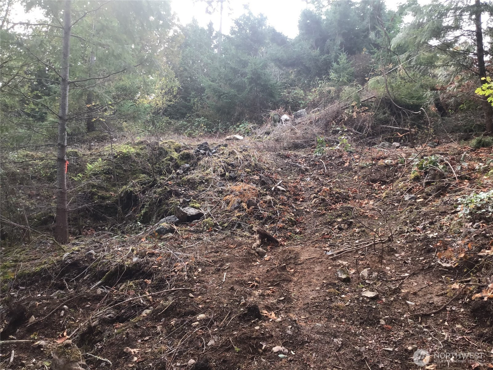 11939 New Morning Drive, Anacortes, WA 98221