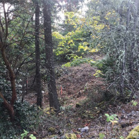 11939 New Morning Drive, Anacortes, WA 98221