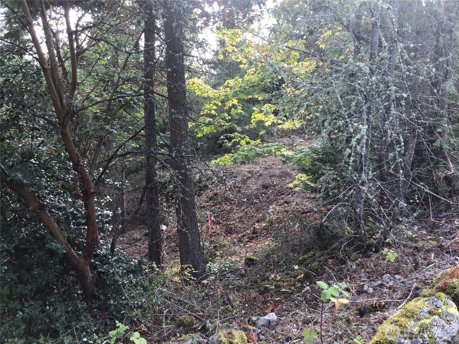 11939 New Morning Drive, Anacortes, WA 98221