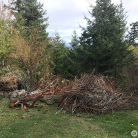 11939 New Morning Drive, Anacortes, WA 98221