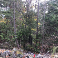 11939 New Morning Drive, Anacortes, WA 98221