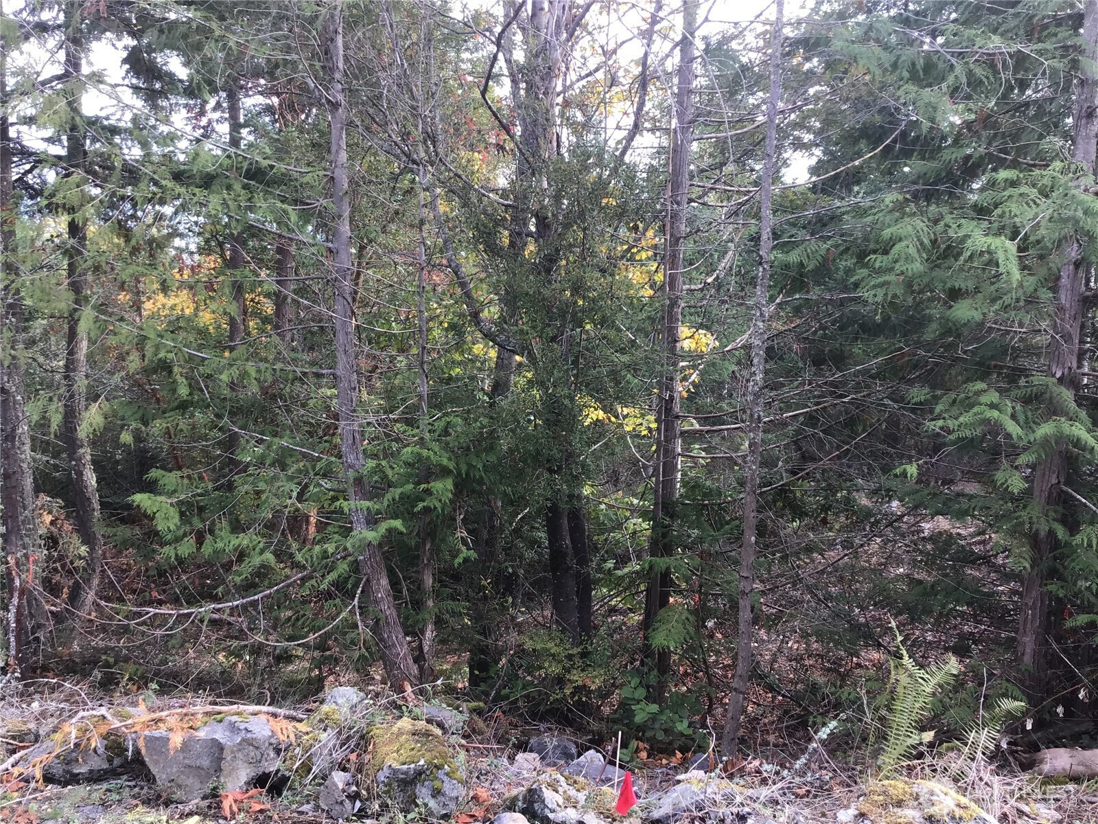 11939 New Morning Drive, Anacortes, WA 98221