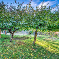 145 Spruce Street, Orcas Island, WA 98245