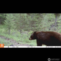 0 XXX Turner Lake Road N, Tonasket, WA 98855