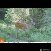 0 XXX Turner Lake Road N, Tonasket, WA 98855