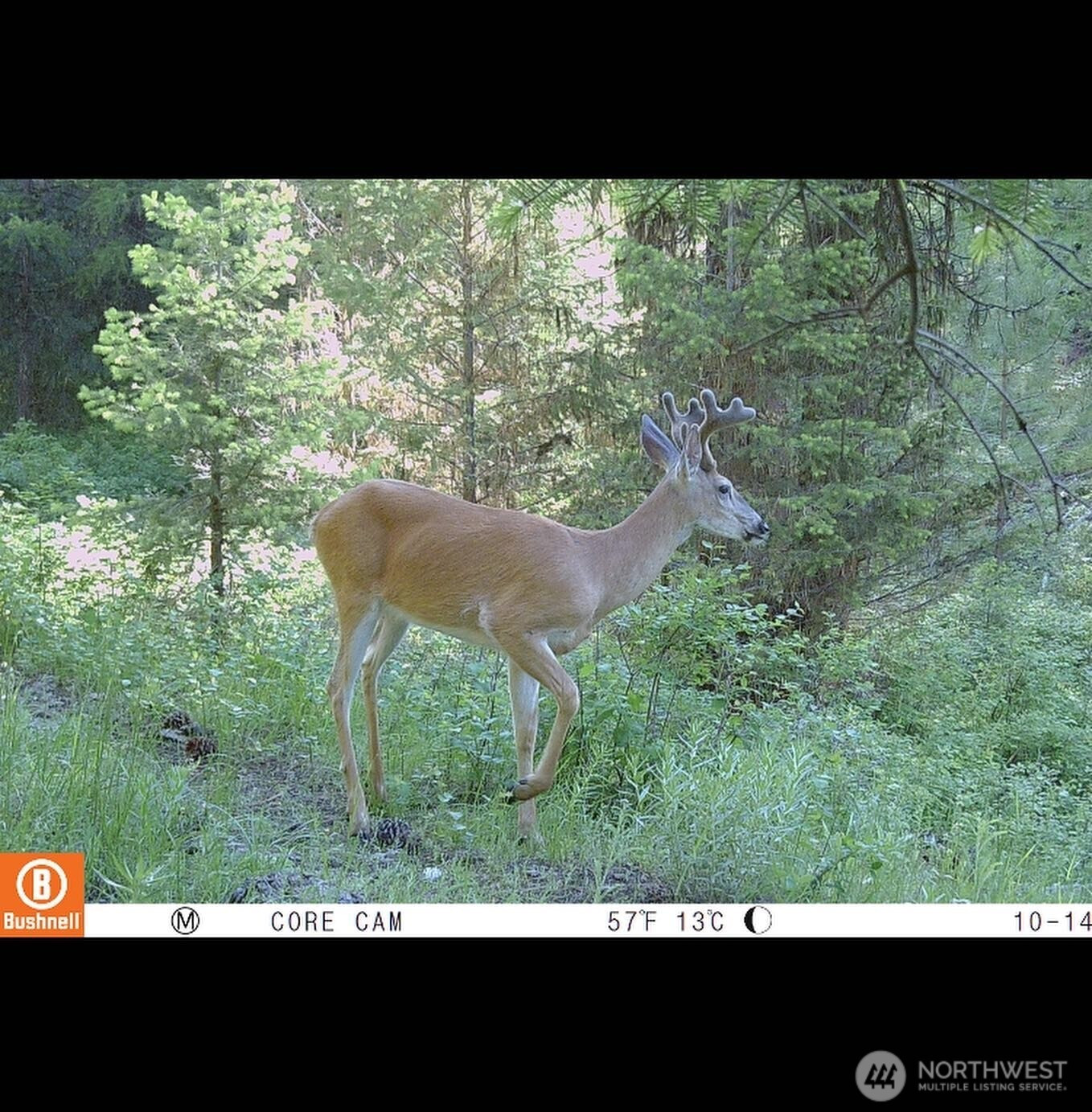 0 XXX Turner Lake Road N, Tonasket, WA 98855