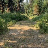 0 XXX Turner Lake Road N, Tonasket, WA 98855