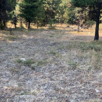 0 XXX Turner Lake Road N, Tonasket, WA 98855