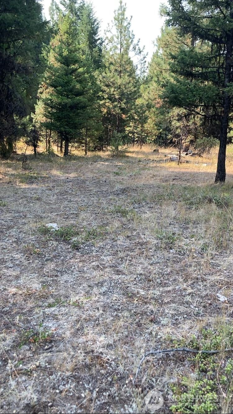 0 XXX Turner Lake Road N, Tonasket, WA 98855