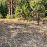 0 XXX Turner Lake Road N, Tonasket, WA 98855