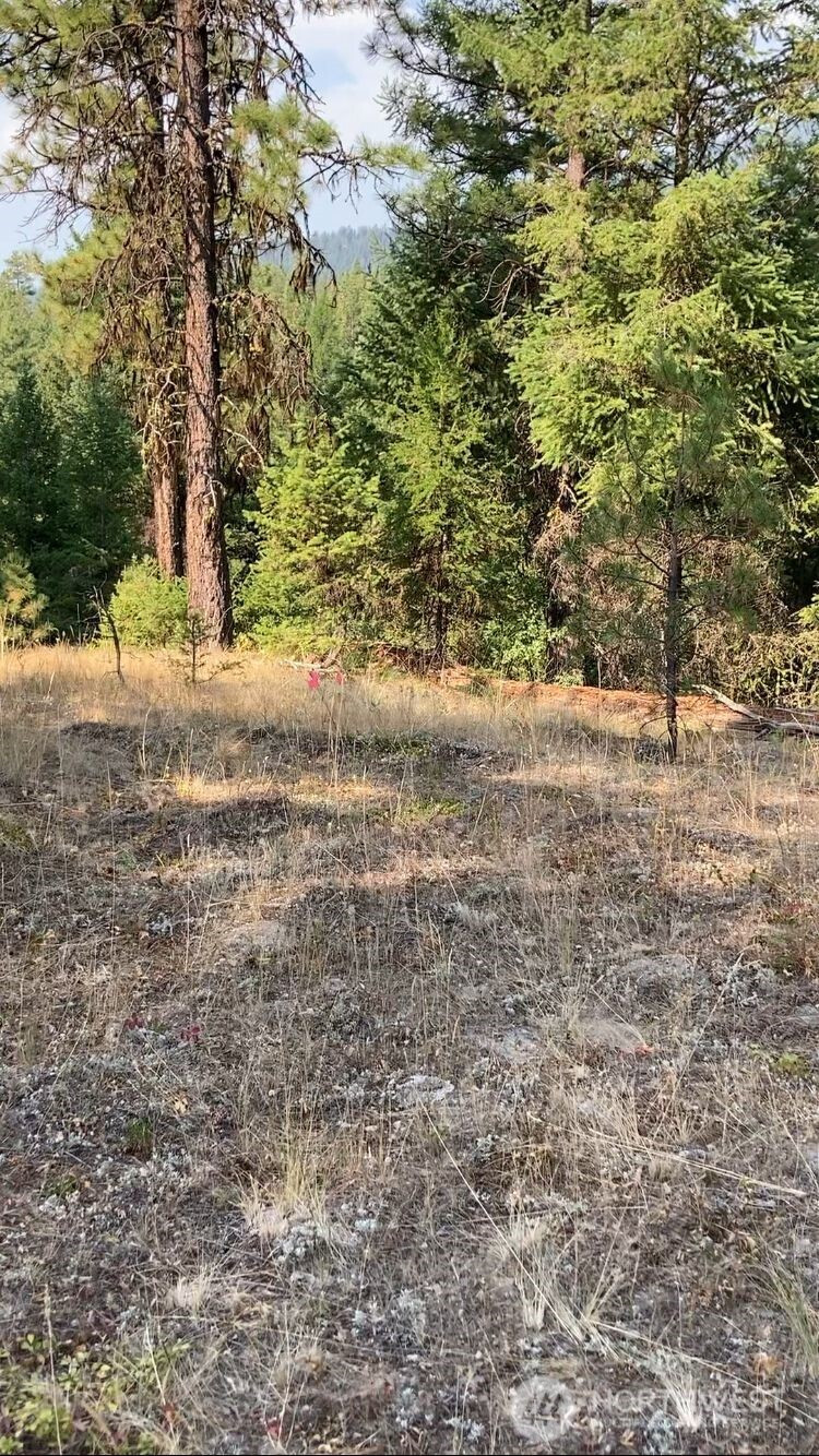 0 XXX Turner Lake Road N, Tonasket, WA 98855