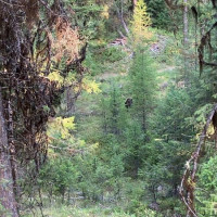 0 XXX Turner Lake Road N, Tonasket, WA 98855