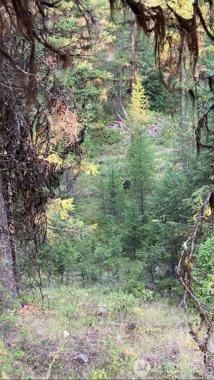 0 XXX Turner Lake Road N, Tonasket, WA 98855